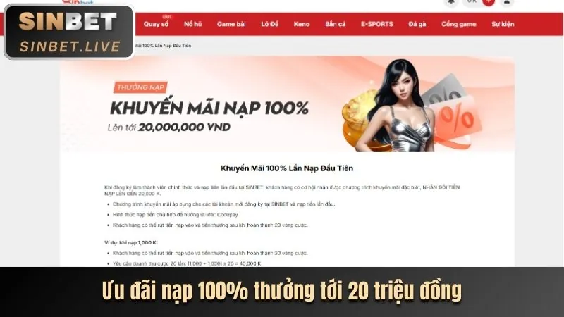 Ưu đãi độc quyền dành cho thành viên VIP